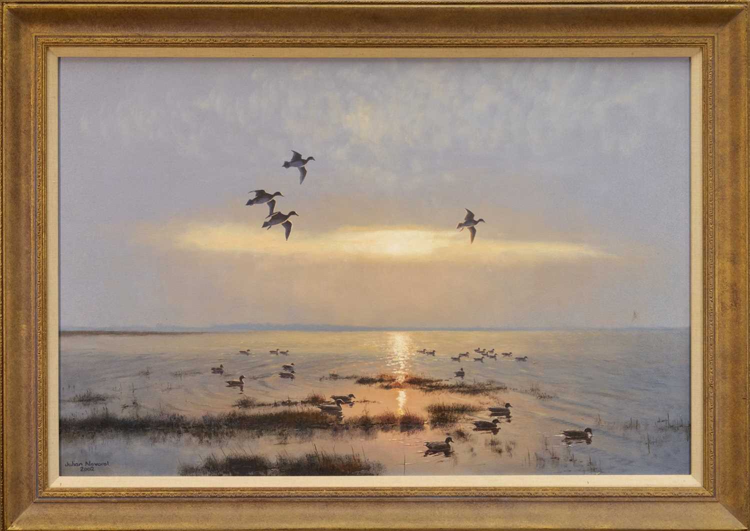Lot 1242 - Julian Novorol (b.1949) oil on canvas - Widgeon on the River at Dawn, signed and dated 2002, 51cm x 77cm, in gilt frame