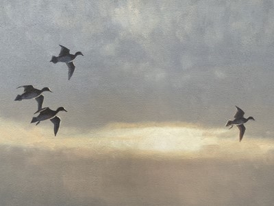 Lot 1242 - Julian Novorol (b.1949) oil on canvas - Widgeon on the River at Dawn, signed and dated 2002, 51cm x 77cm, in gilt frame