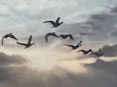 Lot 1237 - Julian Novorol (b.1949) oil on canvas - Brent Geese at Sunrise, signed and dated 1994, 51cm x 76cm, in gilt frame