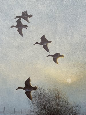 Lot 1245 - Julian Novorol (b.1949) oil on canvas - Wigeon over the Ouse Washes, signed and dated 2001, 51cm x 76cm, in gilt frame