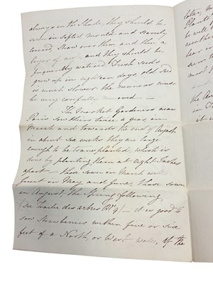 Lot 81 - Collection of 18th correspondence from the Wynyard family to Lord Delawarr, hand written 18th century gardening tips, and a scarce printed anti Farm labourers rioting leaflet