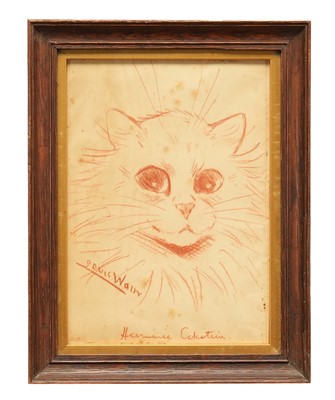 Lot 1223 - Louis Wain (1860-1939) red chalk on paper - A Cat, 'Hermione Eckstein', signed and inscribed, 12cm x 16cm, in glazed oak frame