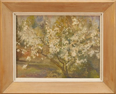Lot 912 - *Amy Millar Watt (1900-1956) oil on board - Fruit Tree, signed, 32cm x 43cm, framed