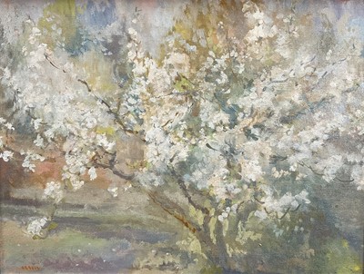 Lot 912 - *Amy Millar Watt (1900-1956) oil on board - Fruit Tree, signed, 32cm x 43cm, framed