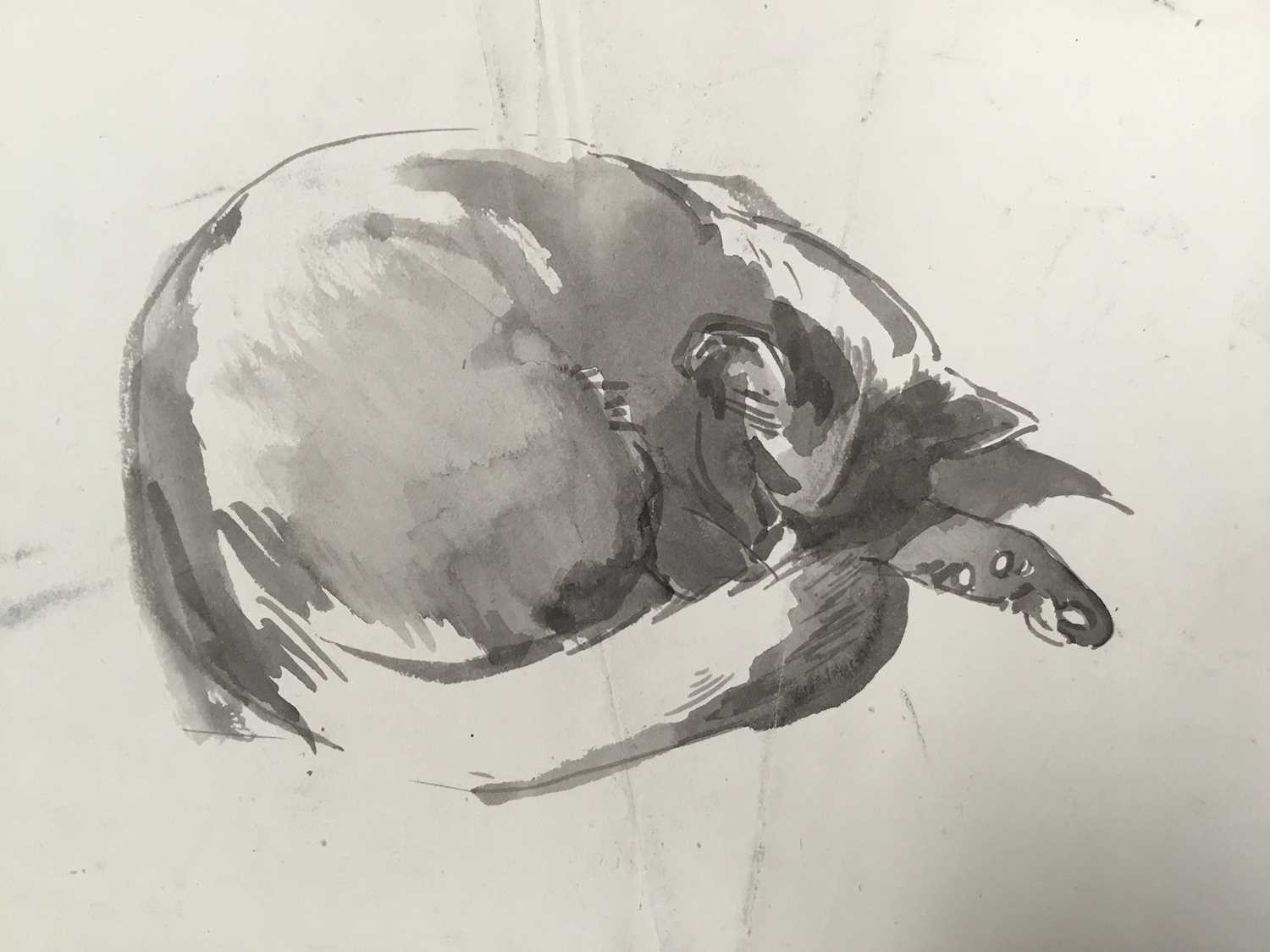 Lot 922 - *Mary Millar Watt (1924-2023) watercolour - cat sketches, and various further cat sketches by the same hand
