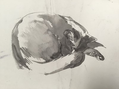 Lot 922 - *Mary Millar Watt (1924-2023) watercolour - cat sketches, and various further cat sketches by the same hand