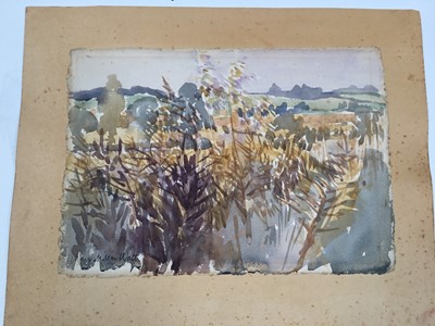 Lot 925 - *Mary Millar Watt (1924-2023) oil on board, Cellardyke, signed, and a collection of unframed works in a variety of media