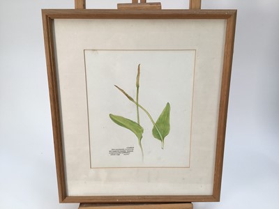 Lot 933 - Group of works by the Millar Watt family of artists, mostly framed (13)