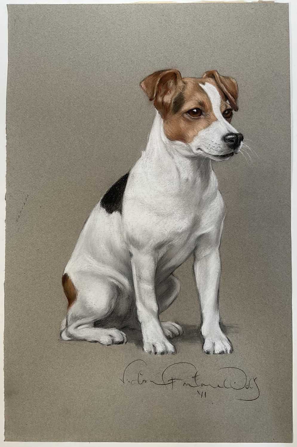 Lot 130 - Victoria Fontaine-Wolf, pastel, portrait of a Jack Russell, 'Stella', 50cm x 32cm, signed, unframed.