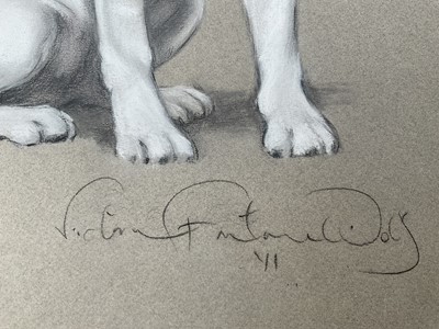 Lot 130 - Victoria Fontaine-Wolf, pastel, portrait of a Jack Russell, 'Stella', 50cm x 32cm, signed, unframed.