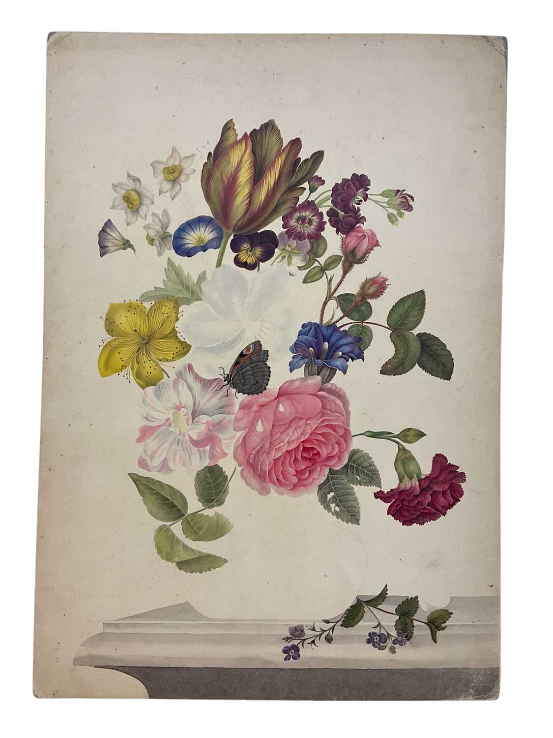 Lot Thomas Remnant Charleton (1756-1849) or Sophia Katherine Charleton (1789-1844) watercolour - Still life of flowers and butterfly, unfinished 45 x 31cm