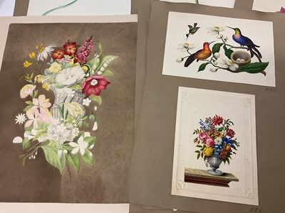 Lot Sophia Katherine Charleton (1789-1844) group of fourteen watercolour studies of flowers and birds, each inscribed to the mount with initials, one inscribed 'Aunt Sophia', 19 x 17cm and smaller