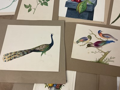 Lot Sophia Katherine Charleton (1789-1844) group of fourteen watercolour studies of flowers and birds, each inscribed to the mount with initials, one inscribed 'Aunt Sophia', 19 x 17cm and smaller