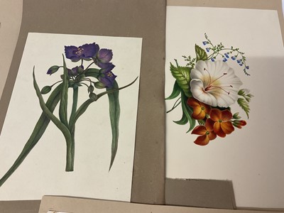 Lot Sophia Katherine Charleton (1789-1844) group of fourteen watercolour studies of flowers and birds, each inscribed to the mount with initials, one inscribed 'Aunt Sophia', 19 x 17cm and smaller