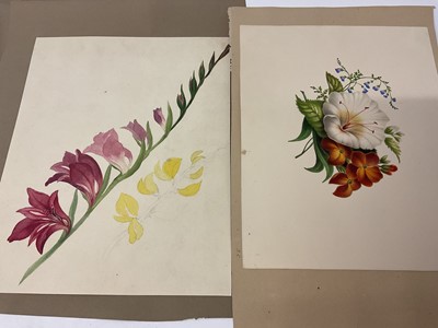 Lot Sophia Katherine Charleton (1789-1844) group of fourteen watercolour studies of flowers and birds, each inscribed to the mount with initials, one inscribed 'Aunt Sophia', 19 x 17cm and smaller