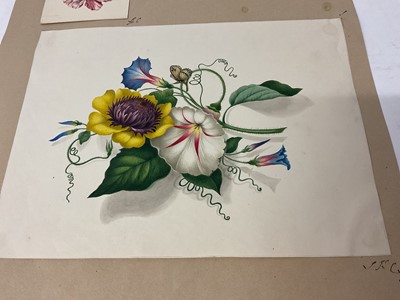 Lot Sophia Katherine Charleton (1789-1844) group of three botanical watercolour studies, the largest 18 x 25cm