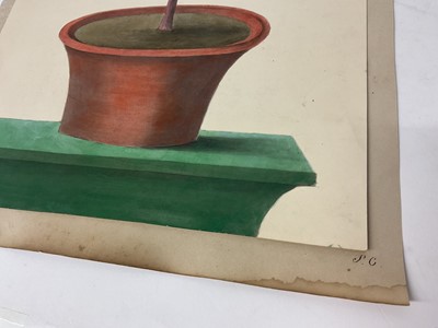 Lot Sophia Katherine Charleton (1789-1844) watercolour - Jersey Lily, 44 x 27cm