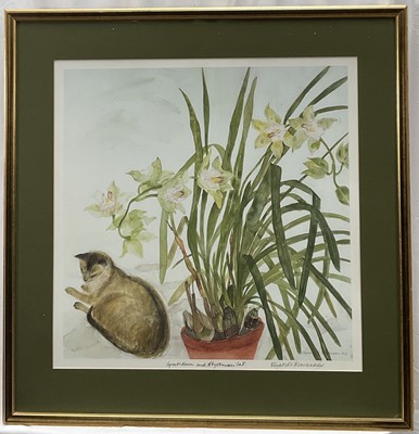 Lot 1410 - Elizabeth Blackadder (1931-2021) lithograph - Cymbidium and Abyssinian Cat, signed and titled below, 49cm x 49cm, in glazed frame