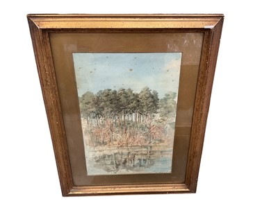 Lot 610 - Mervyn McCartney watercolour study of trees