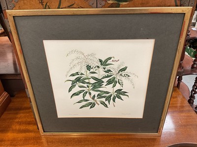 Lot 5273 - Jenny Jowett signed botanical watercolour, framed