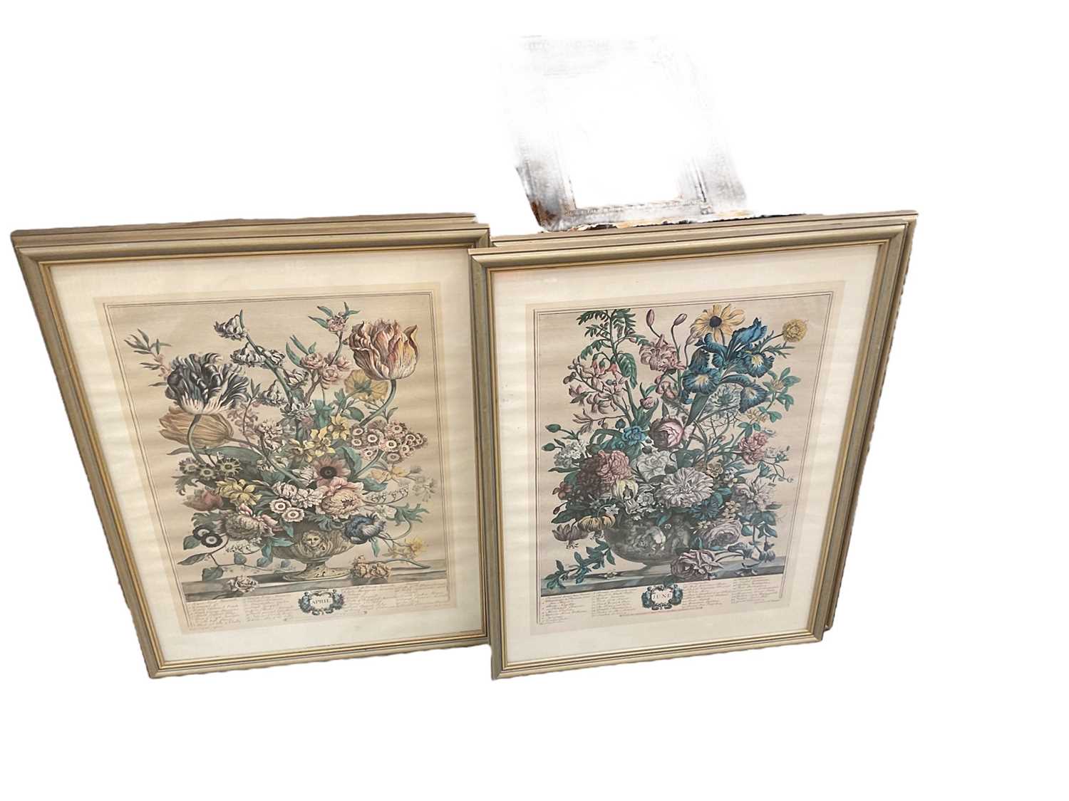 Lot 598 - Four modern prints of botanical engravings