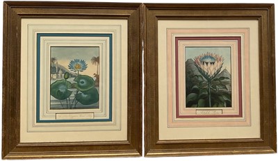 Lot 1338 - Pair of 19th century aquatints from Dr Robert Thornton's Temple of Flora - Artichoke and Egyptian Water Lily