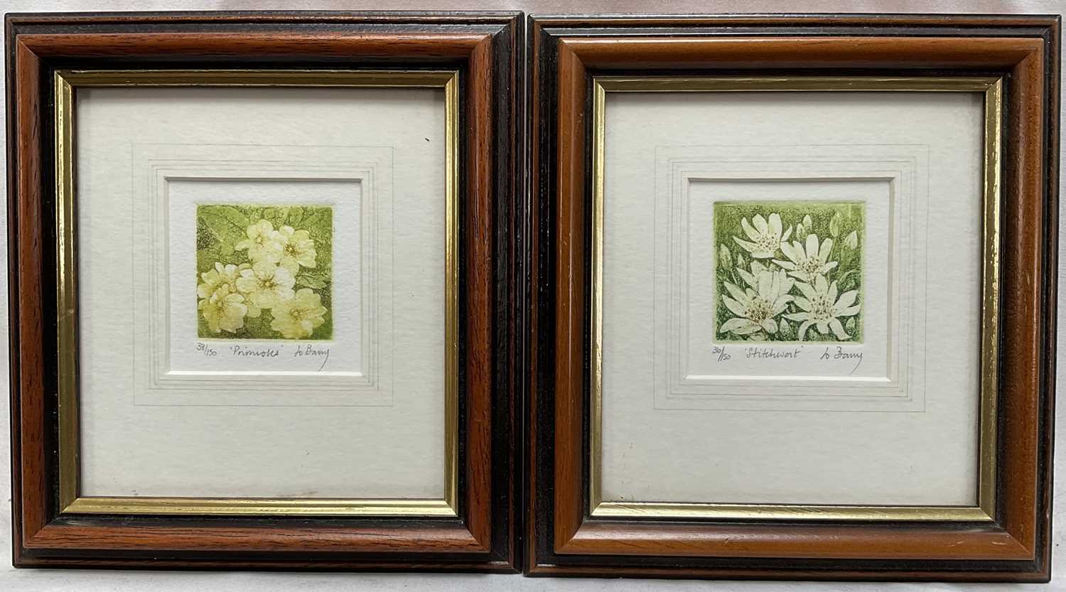 Lot 38 - Jo Barry two small colour etchings, signed, titled and numbered in pencil, images 4.5cm, in glazed frames