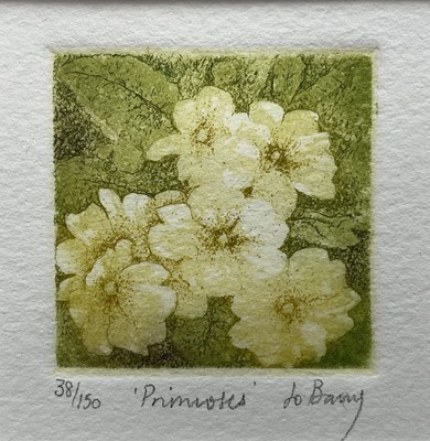 Lot 38 - Jo Barry two small colour etchings, signed, titled and numbered in pencil, images 4.5cm, in glazed frames