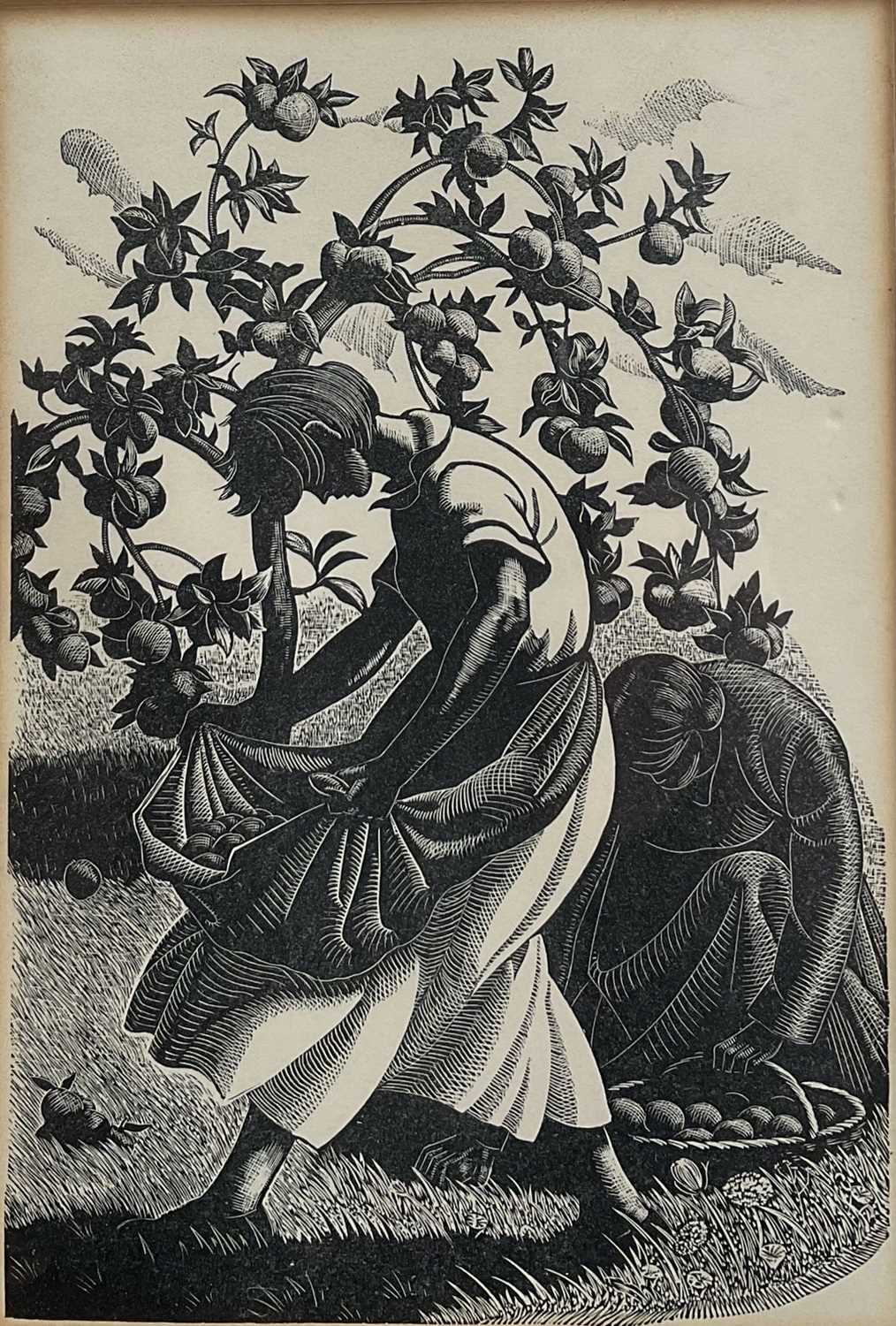 Lot 48 - Clare Leighton (1898-1989) wood engraving - Apple gathering, from Four Hedges 1935, 18cm x 12.5cm, glazed frame