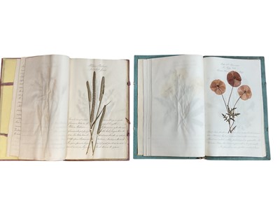 Lot 1194 - Five Victorian albums containing dried botanical specimens with hand written notes relating to the plants.