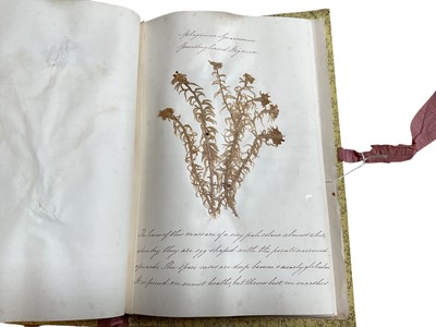 Lot 1194 - Five Victorian albums containing dried botanical specimens with hand written notes relating to the plants.