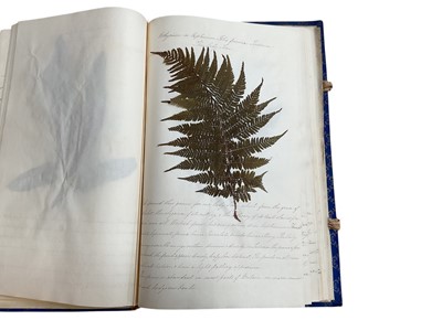 Lot 1194 - Five Victorian albums containing dried botanical specimens with hand written notes relating to the plants.