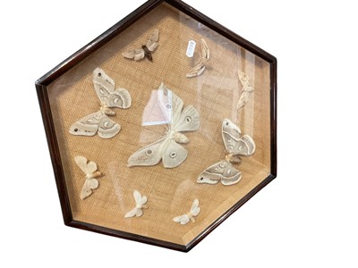 Lot 2482 - Two cases of moths and butterflies