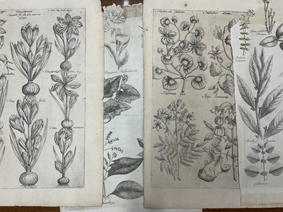 Lot 858 - Collection of engravings