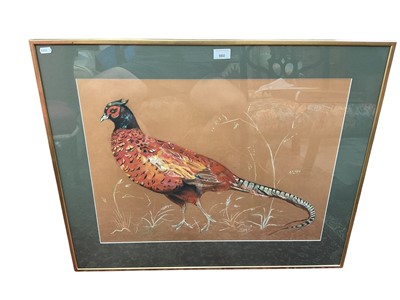 Lot 988 - English School, late 20th century, pastel on paper - A Cock Pheasant, initialled, in glazed gilt frame