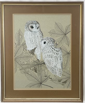 Lot 80 - Noel Ripley (b.1944) ink and gouache - Two Owls, signed, 50cm x 38cm, in glazed frame