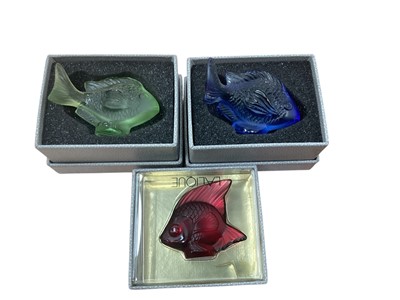 Lot 1032 - Three Lalique coloured glass fish, all boxed