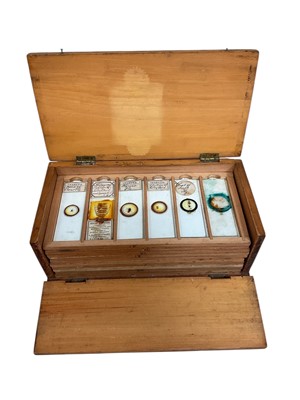 Lot 2519 - Collection of over 50 Victorian and later microscope slides in a fitted box. Diatoms, Insects etc.