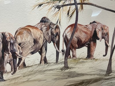 Lot 1441 - Allan Carter (b. 1909) watercolour, elephants, signed, 39 x 63cm, glazed frame