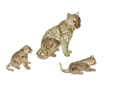 Lot 1076 - Swarovski Crystal annual edition 2019 - Amur Leopard Sofia, together with two cubs, all boxed