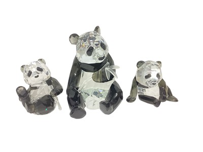 Lot 1081 - Swarovski Crystal Panda together with two cubs, boxed