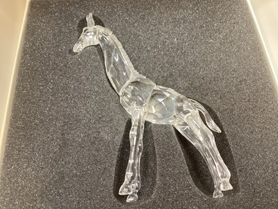 Lot 1122 - Collection of boxed Swarovski Crystal models including Lovebirds on a branch, Turtle, Owlet etc (14)