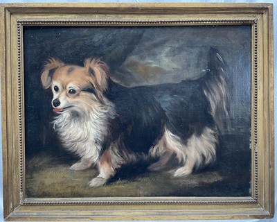 Lot 1240 - 19th century English Naive School oil on canvas - portrait of a dog, 42cm x 54cm, in gilt frame
