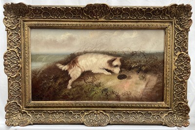 Lot 1331 - Attributed to Edward Armfield (1817-1896) oil on board - Terrier at a rabbit hole, signed, 24cm x 44cm, in gilt frame