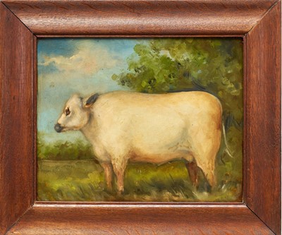 Lot 1244 - English School, oil on panel - A Prize Bull, 32cm x 39cm, in oak frame