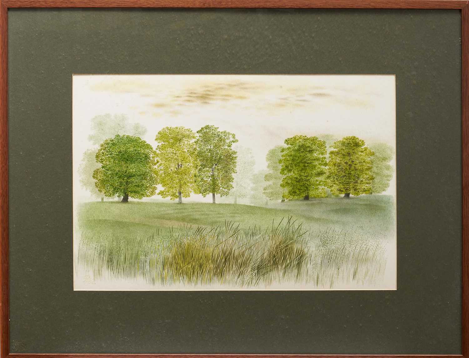 Lot 1405 - *Francis Plummer (1930-2019) watercolour - Grove Plain, signed with initial P., dated '82, titled verso, 36cm x 53cm, in glazed frame