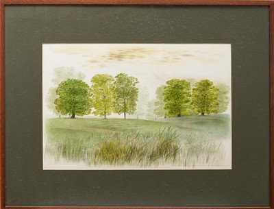 Lot 1405 - *Francis Plummer (1930-2019) watercolour - Grove Plain, signed with initial P., dated '82, titled verso, 36cm x 53cm, in glazed frame