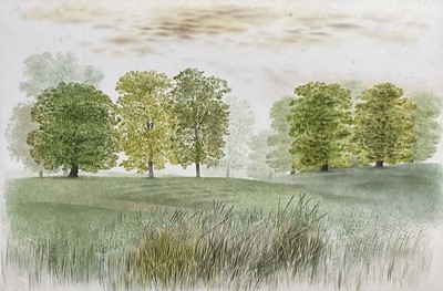 Lot 1405 - *Francis Plummer (1930-2019) watercolour - Grove Plain, signed with initial P., dated '82, titled verso, 36cm x 53cm, in glazed frame