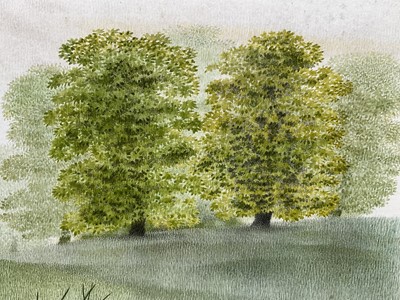 Lot 1405 - *Francis Plummer (1930-2019) watercolour - Grove Plain, signed with initial P., dated '82, titled verso, 36cm x 53cm, in glazed frame