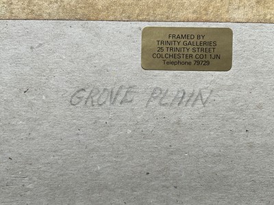 Lot 1405 - *Francis Plummer (1930-2019) watercolour - Grove Plain, signed with initial P., dated '82, titled verso, 36cm x 53cm, in glazed frame
